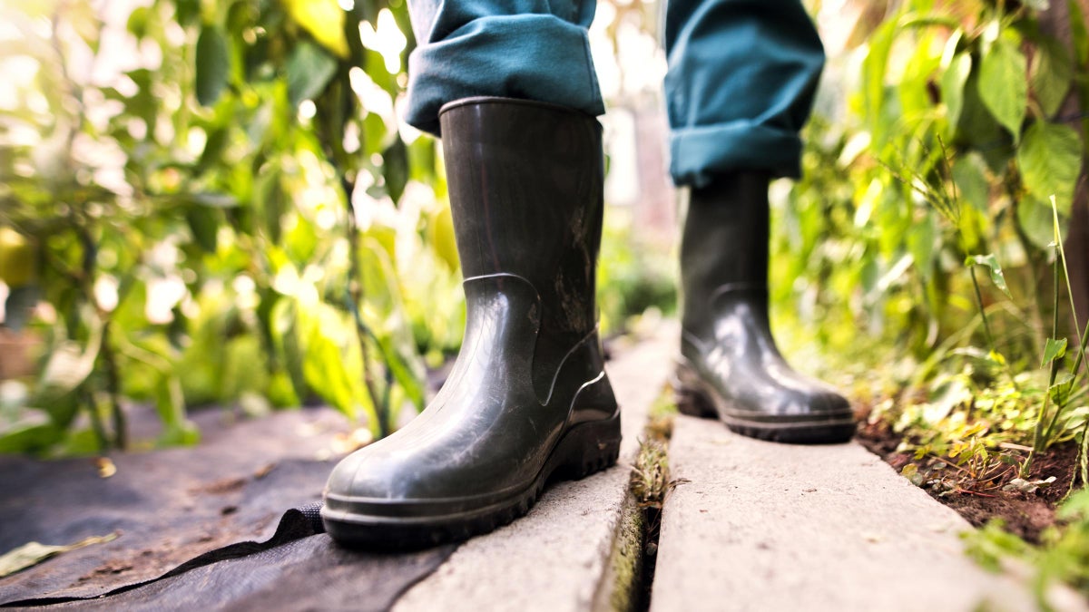 best mens rain snow boots