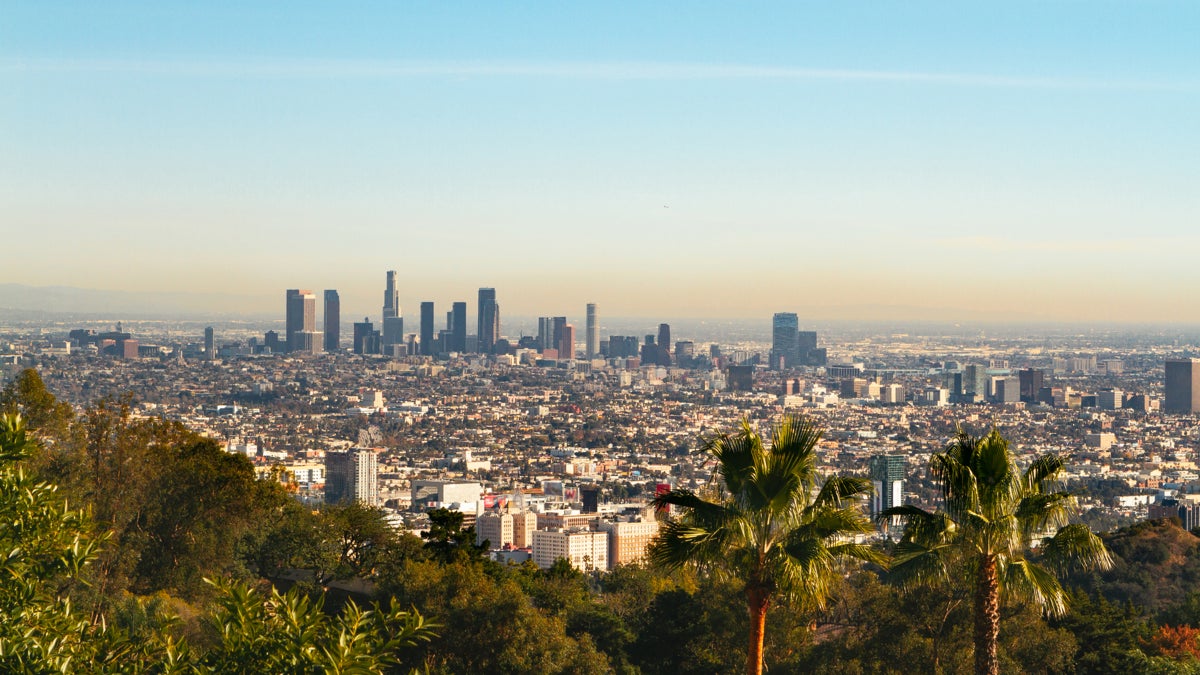 How Los Angeles Is Leading the Urban TreePlanting Revolution Outside